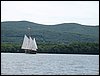 IMG_2472.jpg