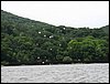 IMG_2516.jpg