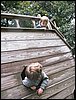 IMG_6983.jpg