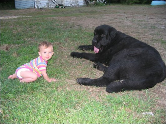 2005_09_03_Jake.JPG