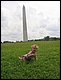 2005_08_29_InWashington.JPG