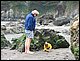 2006_04_22_MuirBeach.JPG