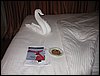 IMG_7310.jpg