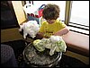 IMG_7731.jpg