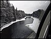 IMG_1022.jpg