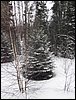 IMG_1026.jpg