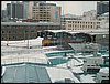 IMG_1198.jpg