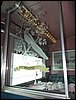 IMG_1319.jpg