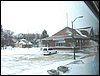 IMG_1326.jpg