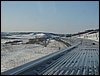 IMG_1379.jpg