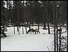 IMG_1606.jpg