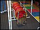 100_1773.JPG