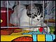 100_1794.JPG