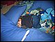 IMG_0944.jpg