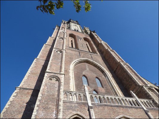 P1020665.jpg