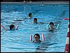IMG_1037.jpg