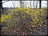 P1040787.jpg
