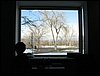 IMG_1178.jpg