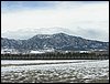 IMG_1192.jpg