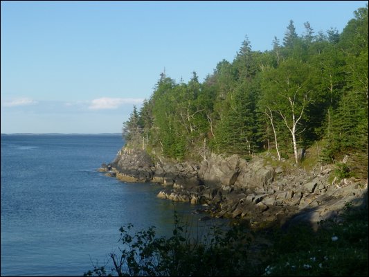 P1010074.jpg