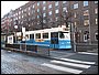 IMG_5377.jpg