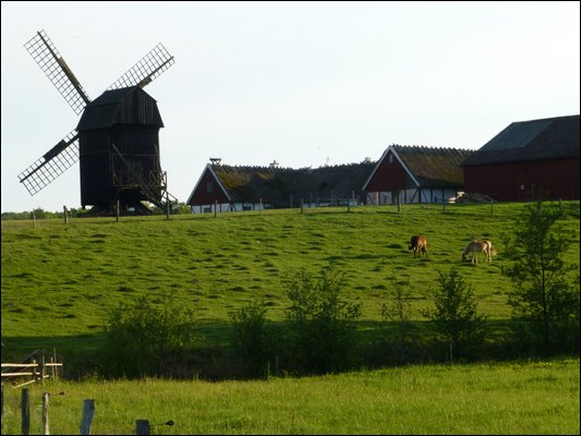 P1000455.jpg