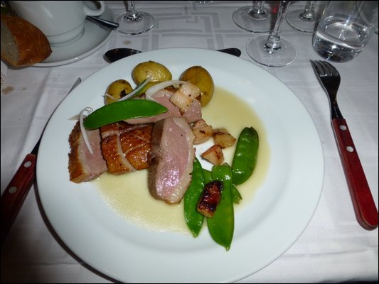 P1000580.jpg