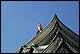 100_2599.jpg