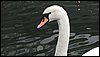 IMG_8484.jpg
