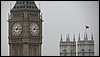 IMG_8515.jpg