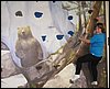 IMG_1907.jpg