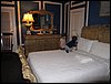 IMG_0953.jpg