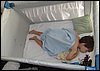 IMG_0964.jpg