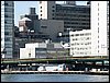 IMG_8990.jpg