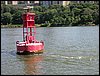 IMG_9077.jpg