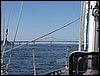 IMG_9093.jpg