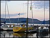 MainePix292.jpg