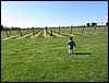IMG_0104.jpg