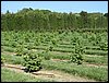 IMG_0118.jpg
