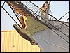 IMG_8091.jpg