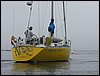 IMG_8129.jpg