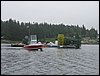 IMG_8133.jpg