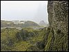 IMG_8138.jpg