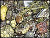 IMG_8143.jpg