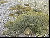 IMG_8150.jpg