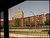 IMG_6799.jpg
