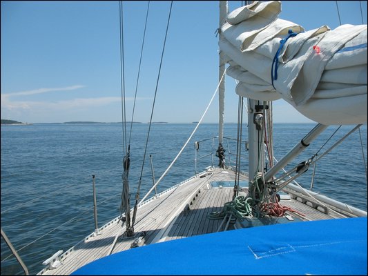 IMG_2566.jpg