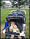 100_3775.JPG