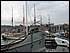 IMG_3780.jpg