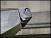 P1040051.jpg